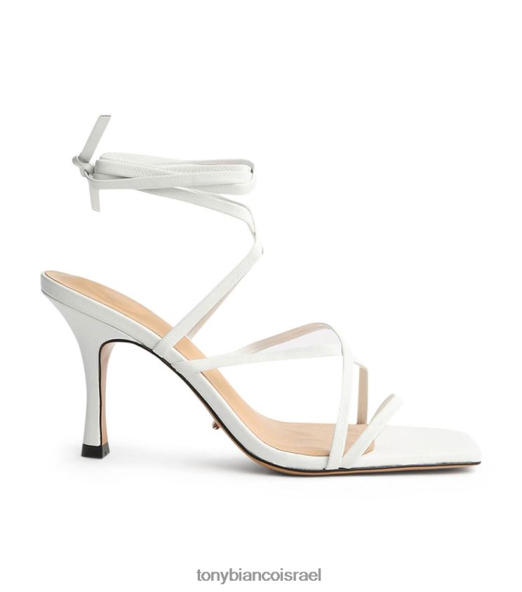 נאפה כבשה לבנה